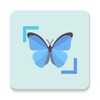 InsectID - Identify Insects icon