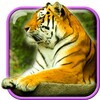 Tigers Live Wallpaper आइकन