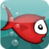 Kiki Fish icon