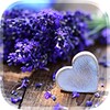 Pictogramă Love Flowers Live Wallpaper