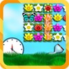Jewels and Flowers icon