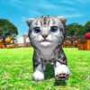 My Virtual Cat Simulator Game icon
