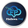 Icono de File Down Pro