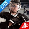 Hockey Fight Lite icon