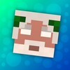 أيقونة Skins for Craftsman, Minecraft