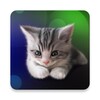 أيقونة Sleepy Kitten Live Wallpaper