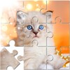 Jigsaw Puzzle Mania: Mind Game icon