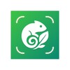 Icono de identifier