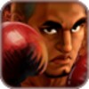 Pro 3D Boxing icon