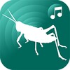 ringtones crickets for phone icon