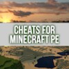 Cheats for Minecraft PE icon