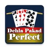 Dehla Pakad Perfect icon
