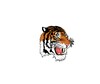 Icono de Lyndonville Central School