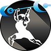 WODs Crossfit - Master Workouts icon