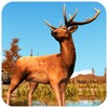 Deer hunting 3D: Sniper pro icon