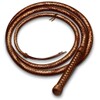 The whip icon