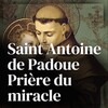 Saint Antoine de Padoue Prière du miracle icon