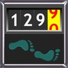 Walking Odometer Pro icon