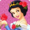 Princess Memory Cards icon