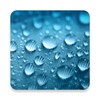Icono de Raining Day Live Wallpaper