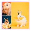 Cute Rabbits Wallpaper icon
