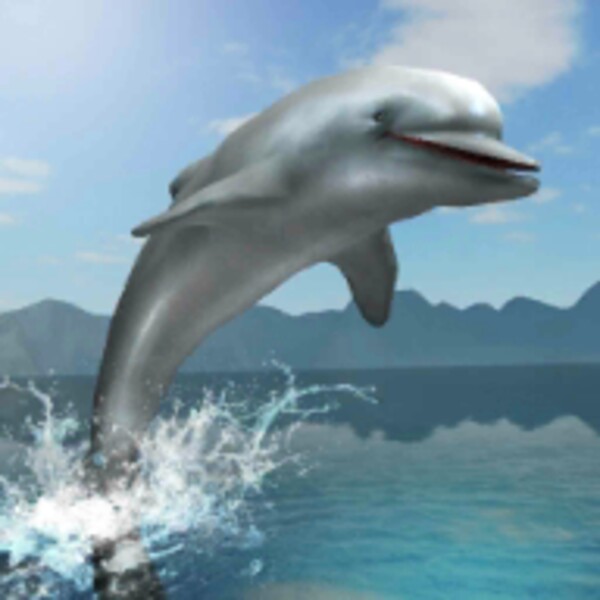 Dolphin Survival Simulator for Android - Download the APK from Uptodown
