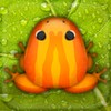 Pocket Frogs icon