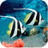 Aquarium Free icon