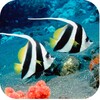 3D水族馆 icon