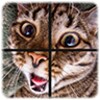 Icon von Picture Puzzle 2 in 1