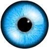 Eye Spinner icon