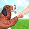 Animal Shelter Dog Rescue Game icon