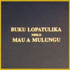 Icono de Buku Lopatulika Chichewa Bible