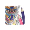Owl Coloring Book - Anti Stress Coloring icon