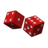 Dice Game icon