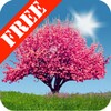 다운로드 Spring Trees Free Android