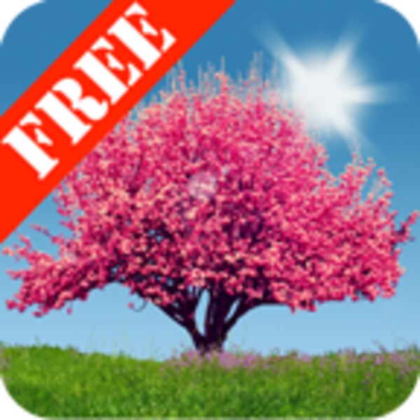 Spring Trees Free for Android - Download the APK from Uptodown