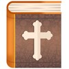 Bíblia de estudos grátis icon