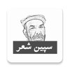 Matiullah Turab Pashto Poetry icon