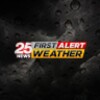 WEEK 25 Weather icon
