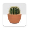 Icono de Stickers de Cactus