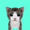 Icon von Cat Simulator Online