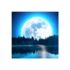 Icône Relaxing Music: Sleep Sounds