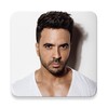 Luis Fonsi icon