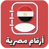 Икона أرقام مصرية