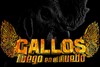 GALLOS FUEGO icon