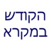 Hebrew Bible icon