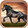 Horses Live Wallpaper HD icon