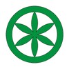 Salveenee icon