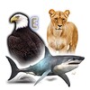 Icono de Animals Birds Fishes
